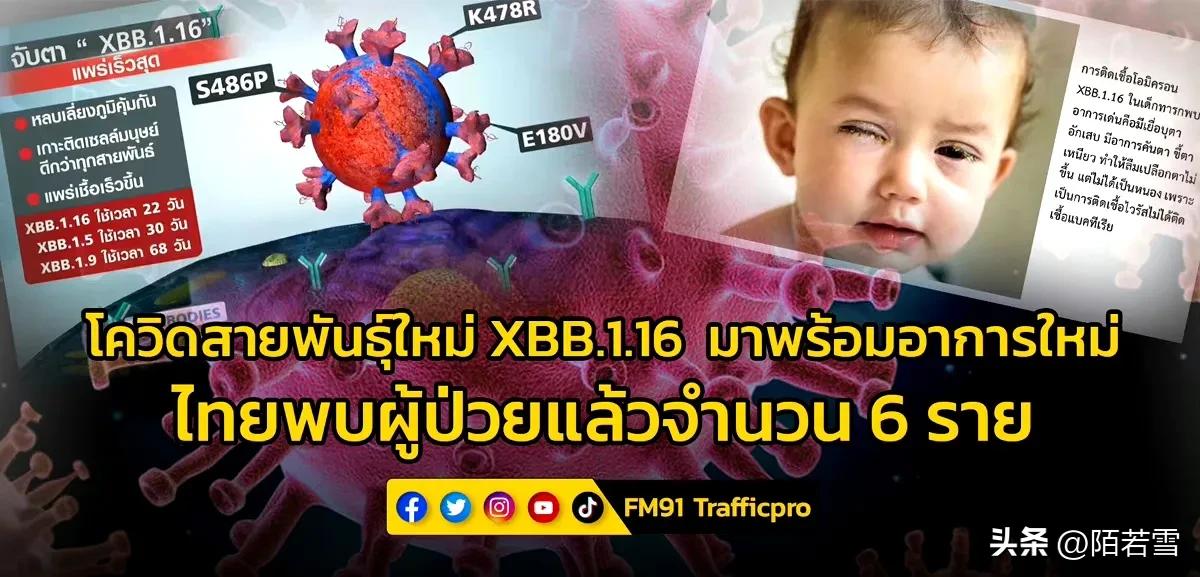 不用囤眼药水，准备好这5样东西，XBB.1.16来了也不怕