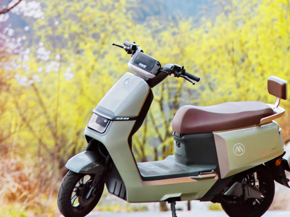 买电动车应该看准哪个品牌,电动车选哪一个品牌的比较好