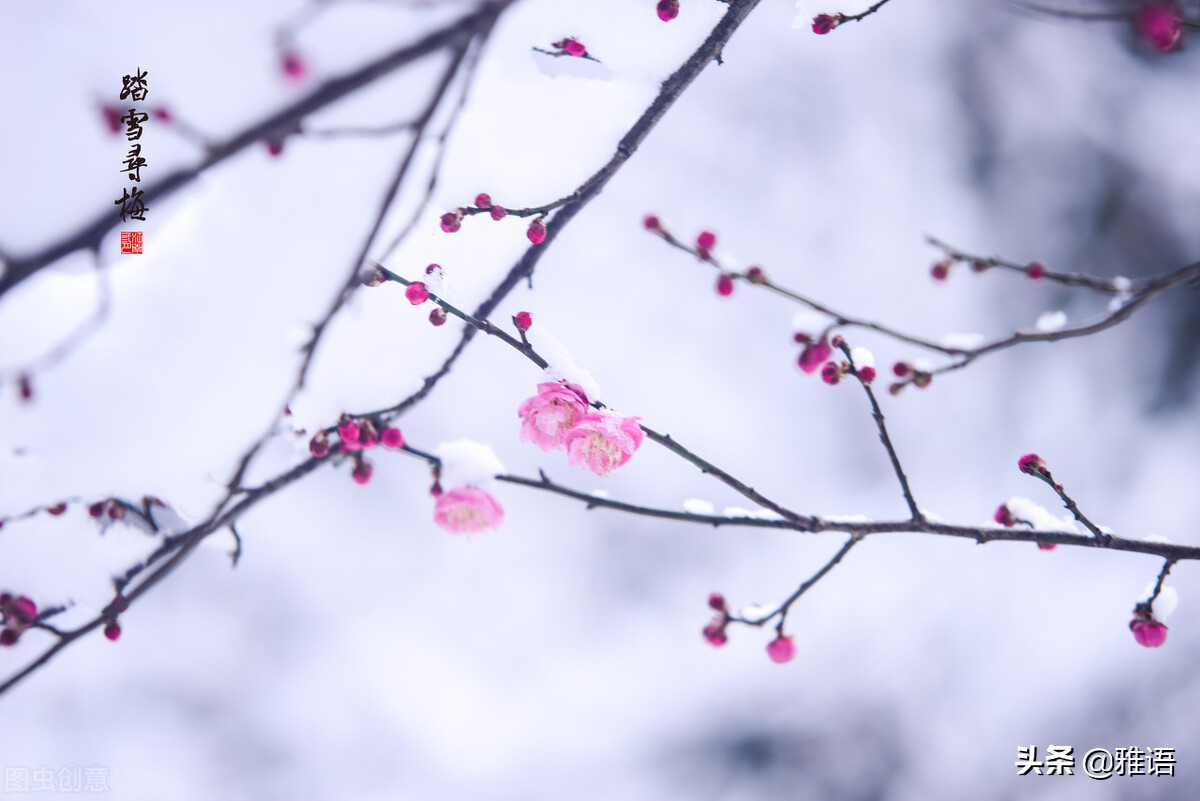 好久不见甚是想念完整版,好久不见甚是想念美文