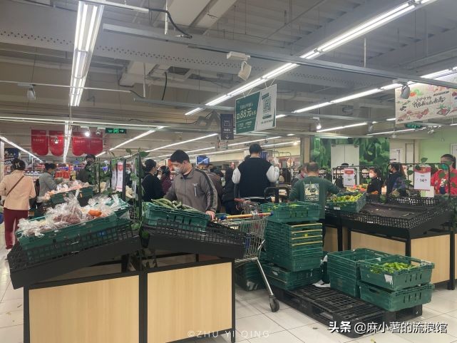 虹口足球场樱花,虹口足球场樱花开在什么地方