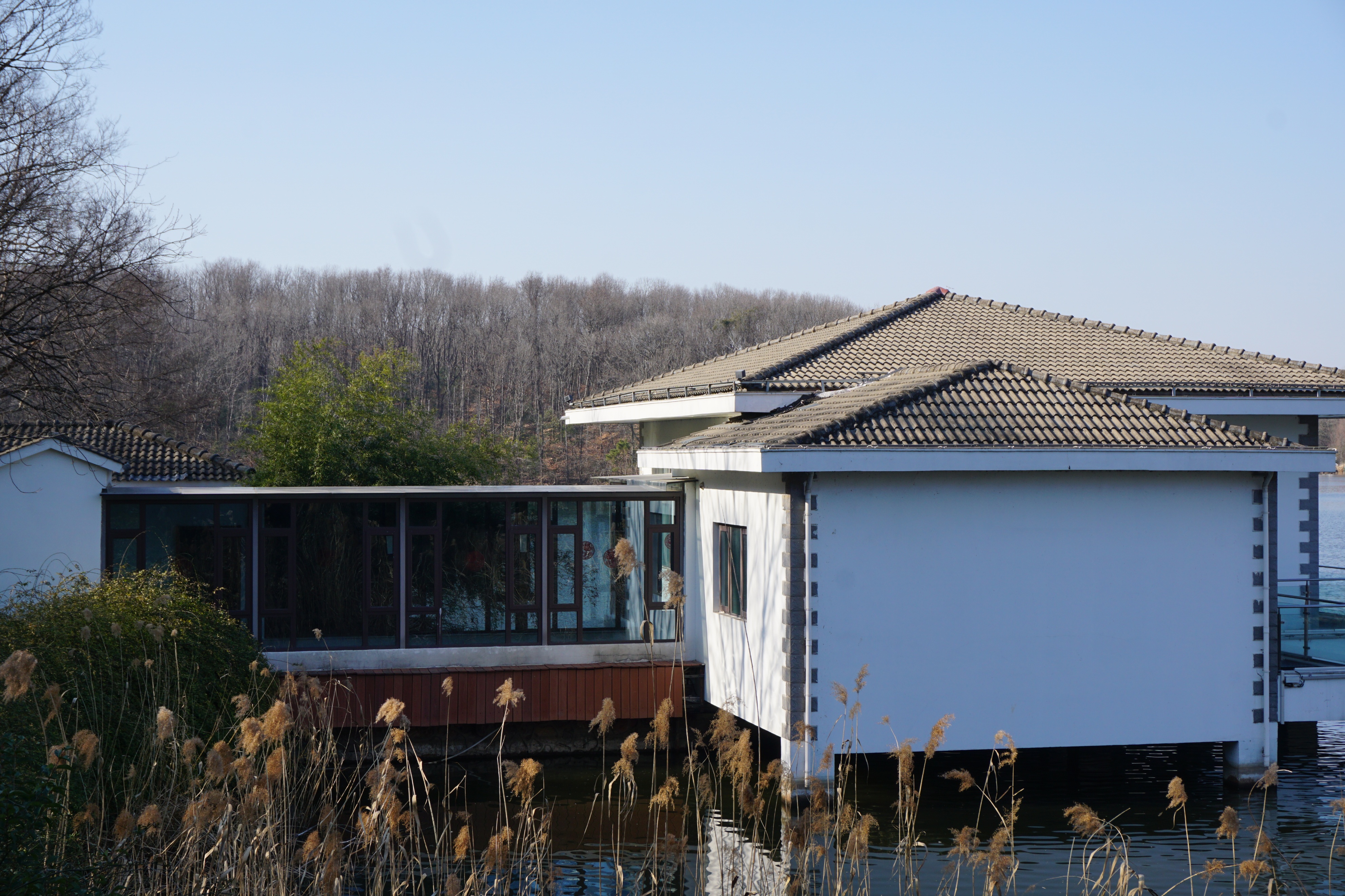 南京人看杭州,南京紫金山庄在哪里