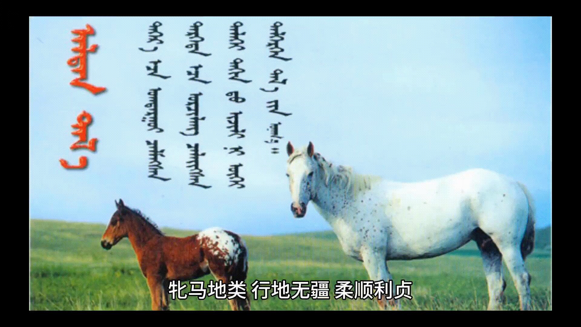 易经的智慧1-160全集讲解视频,易经的智慧150讲全部视频