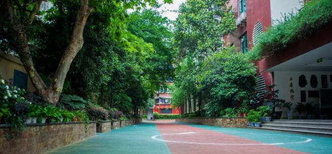 锦江区今年将新建扩建什么小学,成都锦江最近几年新建的小学