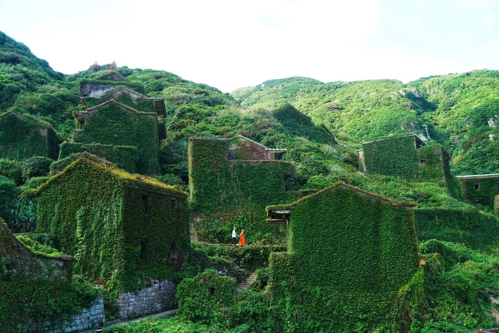 嵊泗花鸟岛和枸杞岛亲子游,嵊泗花鸟岛和枸杞岛哪个值得去