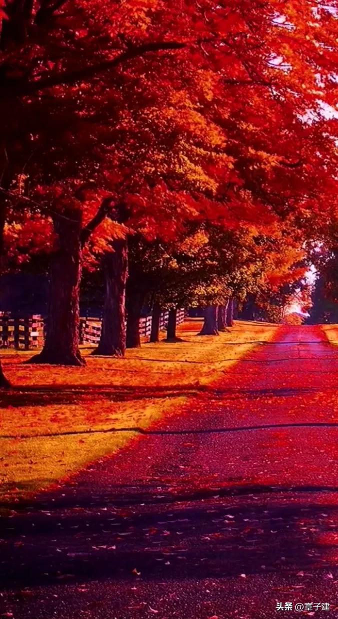 一组词|《云摇柳》《传香》《话别》《弦上桃花》《如斯》等