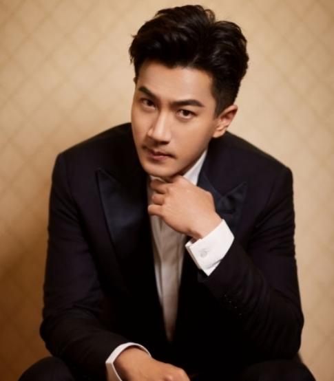 刘恺威的成名之路,刘恺威的事业陷入低谷