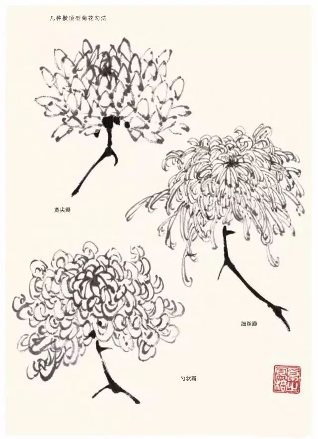 詹仁左写意菊花画法,陈半丁菊花写意画法