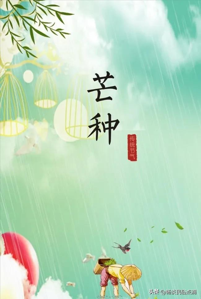 二十四节气芒种谚语大全,2002年芒种节气