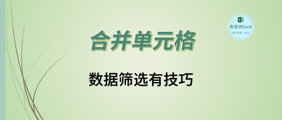 表格的筛选功能怎么用视频教程,表格操作技巧筛选同类项
