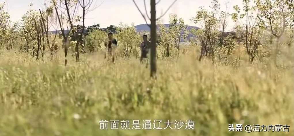 鹊刀门传奇拍摄基地,鹊刀门传奇拍摄地广西哪里