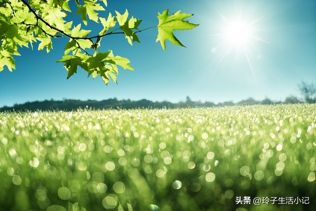 初三黑马逆袭励志句子,一个初中毕业的人该如何逆袭