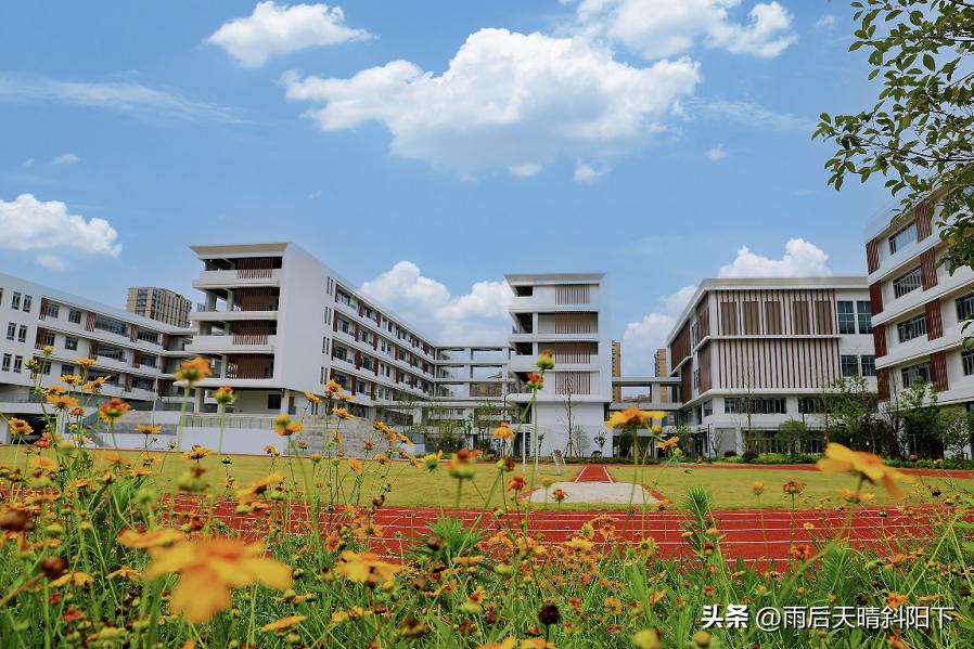 杭州中小学校长调整,杭州市教育系统新校长