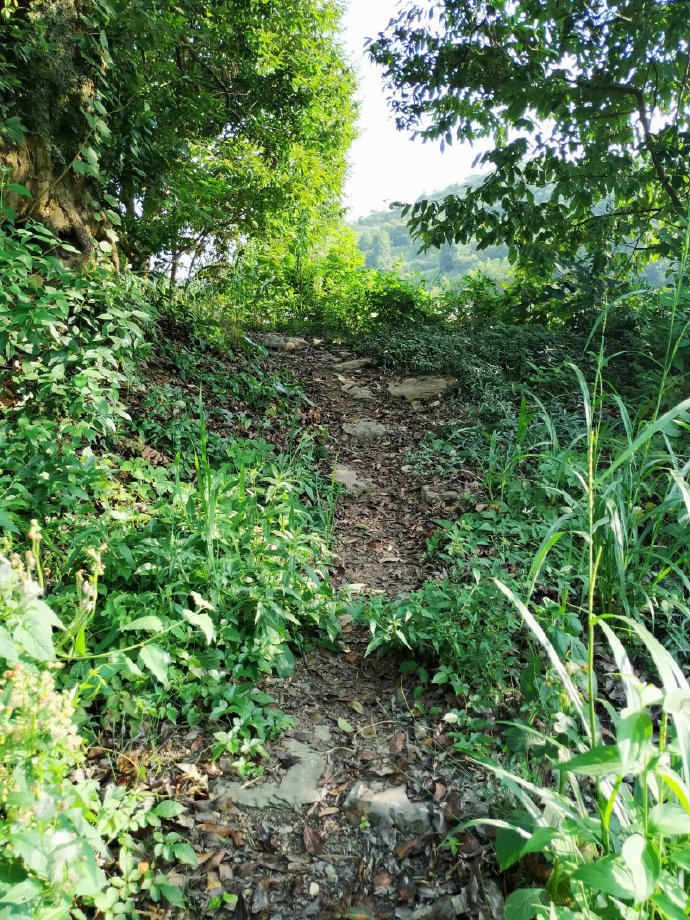 郴乐古道之水头江宜乐古道--广东省乐昌市庆云镇