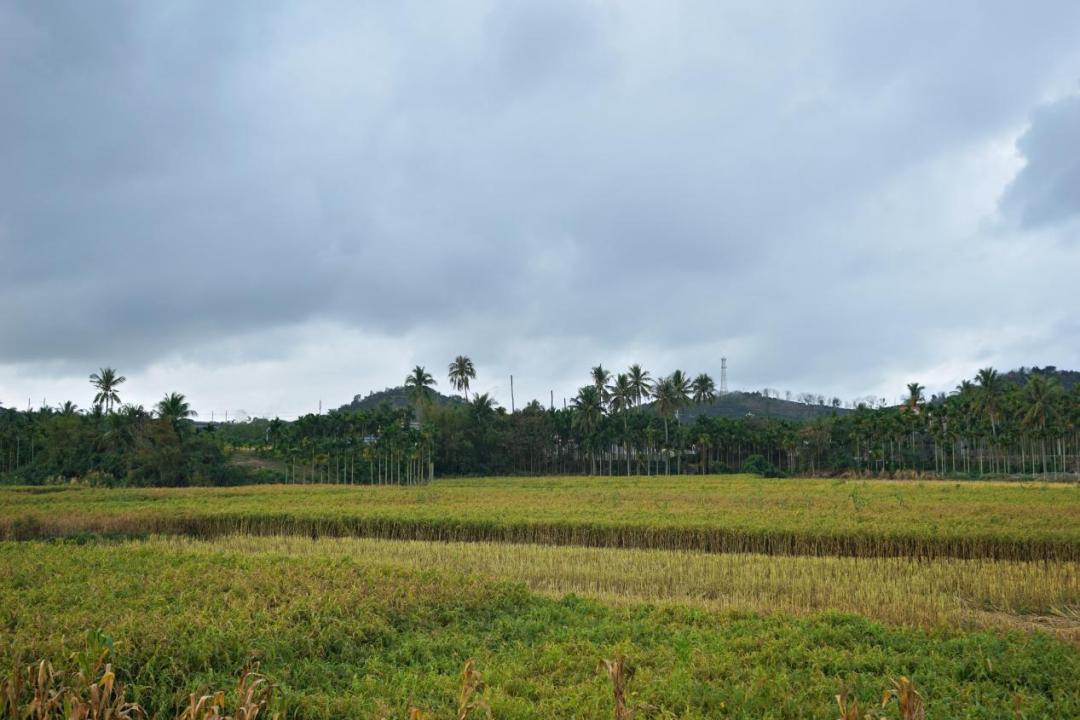 案例剖析！海棠湾薏米如何乡村振兴？品效合一+爆品*局破**