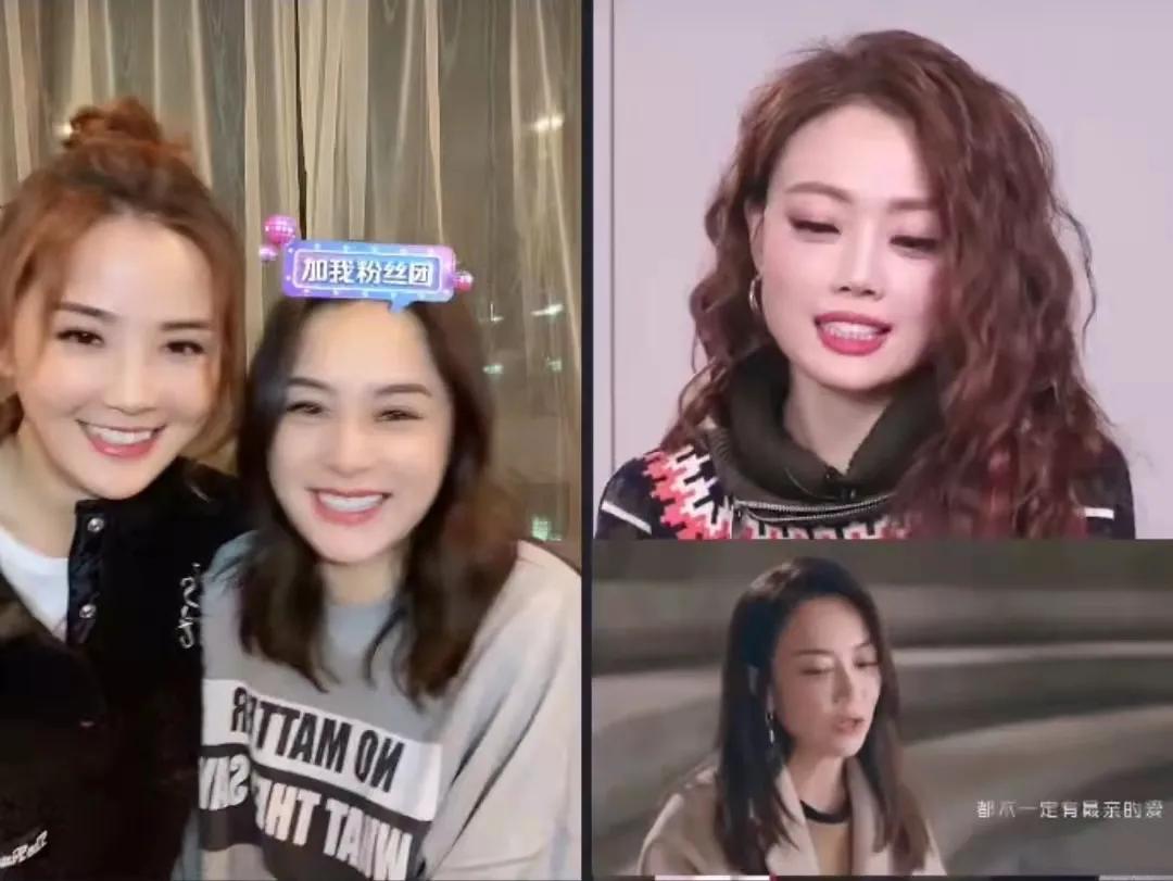 因为是朋友啊综艺在哪里观看,因为是朋友啊综艺在线观看