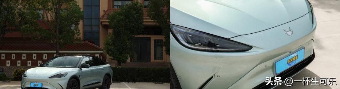 极狐阿尔法s森林公园版,阿尔法极狐s森林版高清图