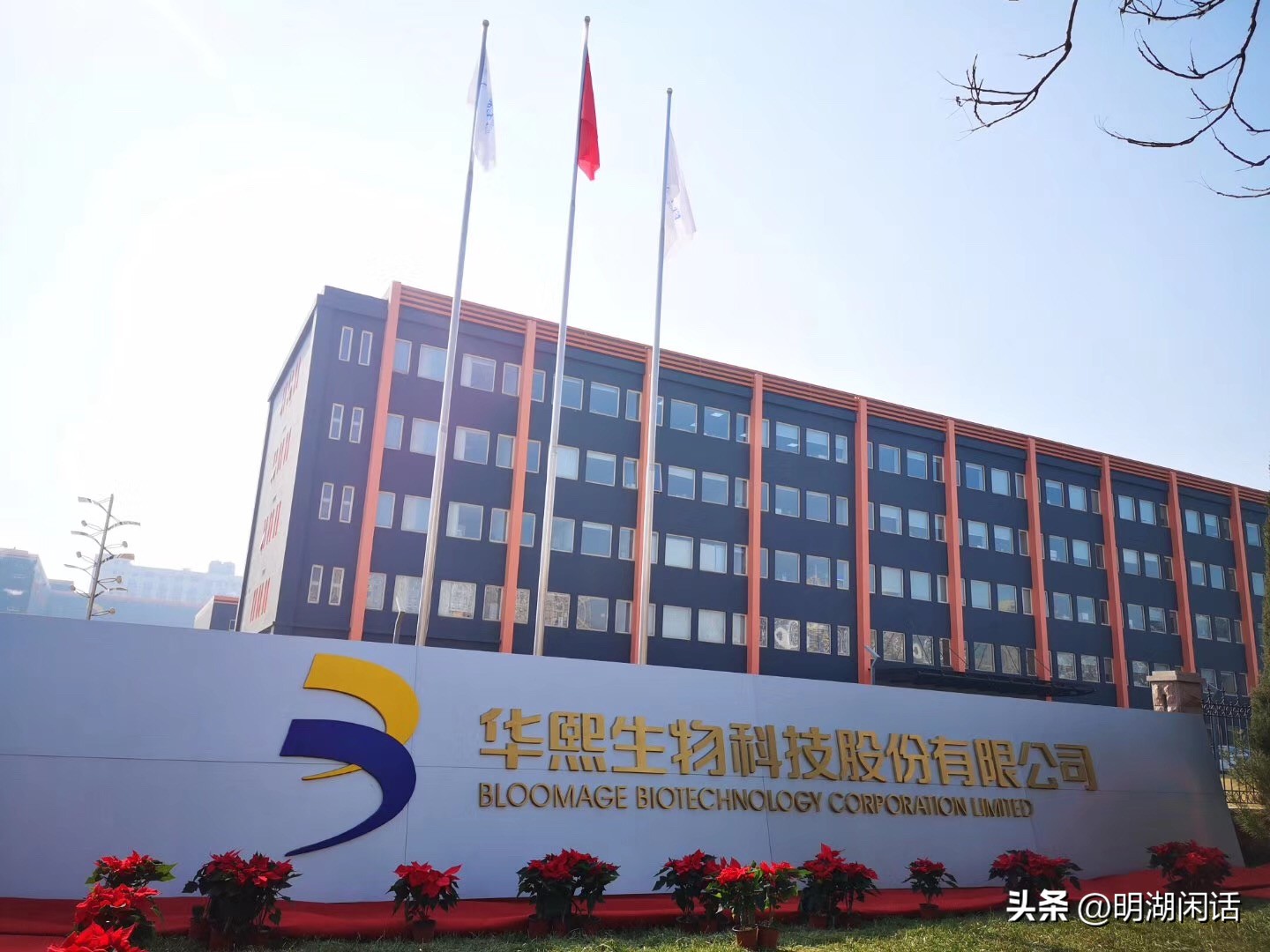 成本40卖8000比茅台赚钱的玻尿酸两个女人的对台戏