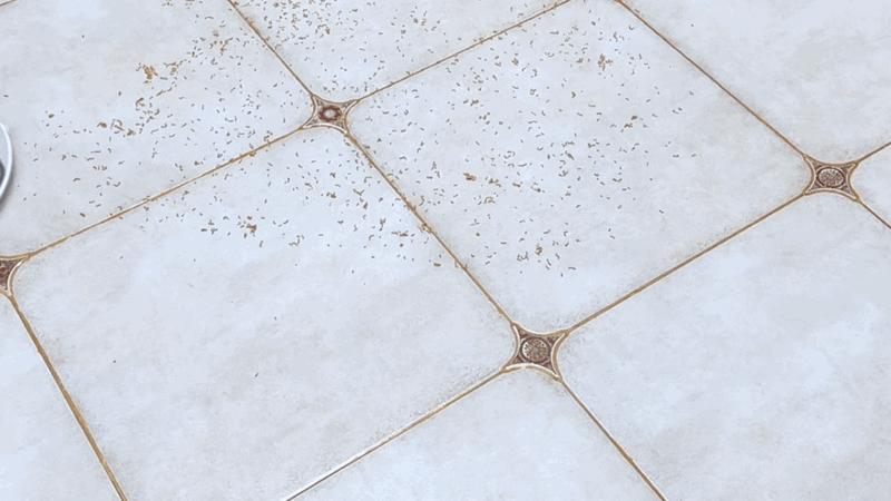 扫地机器人推荐云鲸j3,扫地机器人云鲸J3测评