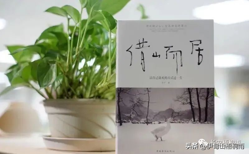 简单生活日记:《借山而居》读书笔记(一)