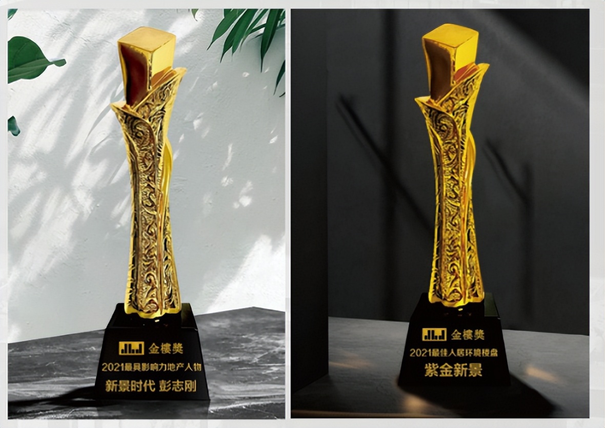 新景地产楼盘,新景地产的作品