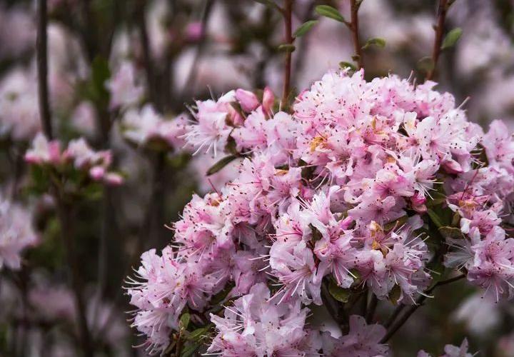 昭觉美姑,美姑路况