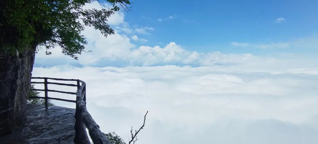 机票价格大跳水错峰出游正当时,错峰出游正当时旅游市场淡季不淡