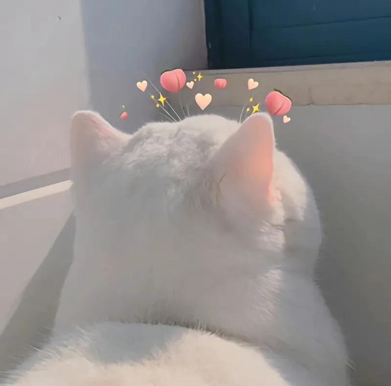 微信背景图和你在一起系列,微信背景图秋冬落叶