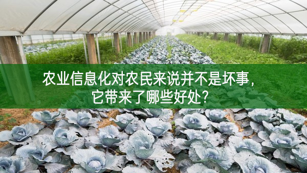 农业信息化在农村管理上的作用,农业信息化有哪些具体应用