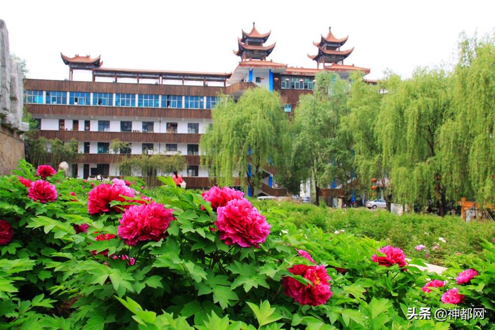 义煤新安矿大合唱,义煤最新事件