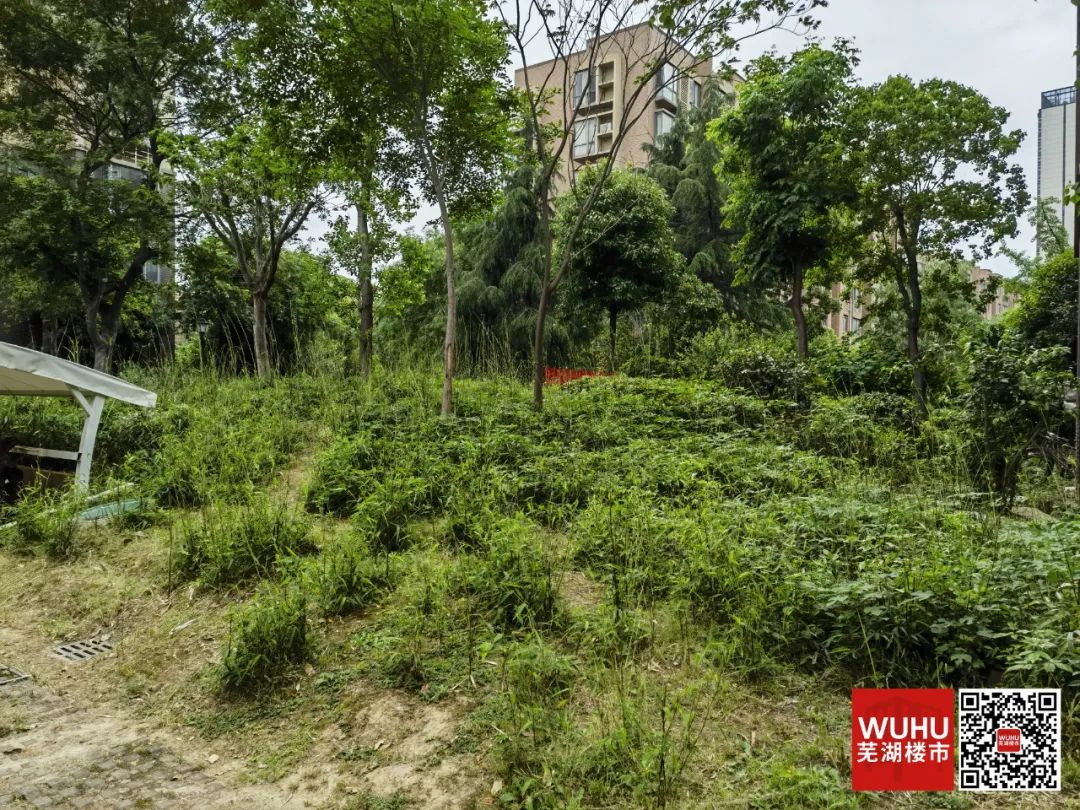 芜湖伟星物业官司,芜湖物业维权投诉