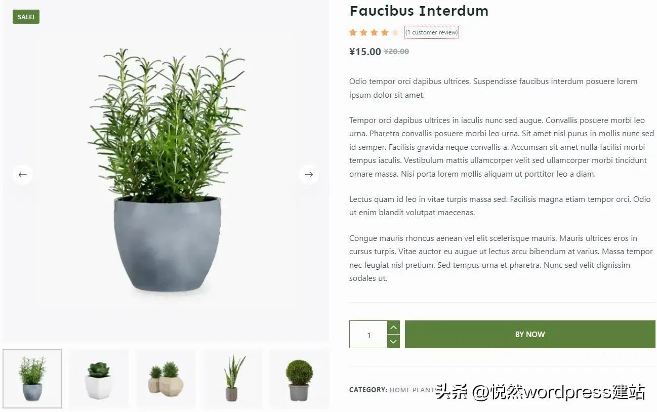 wordpressWooCommerce建站教程,wordpress外贸建站新手教程