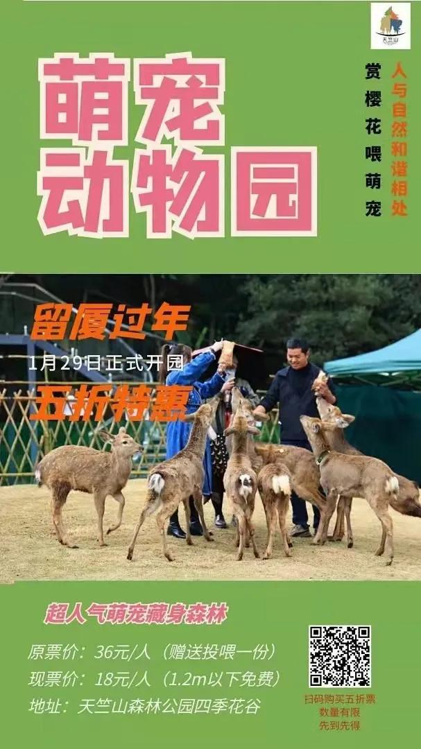 厦门四天游玩攻略大全,最新厦门游玩攻略