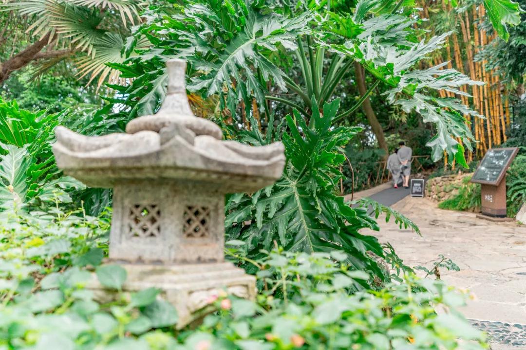 云南天下第一汤温泉,云南藏起来的人间仙境