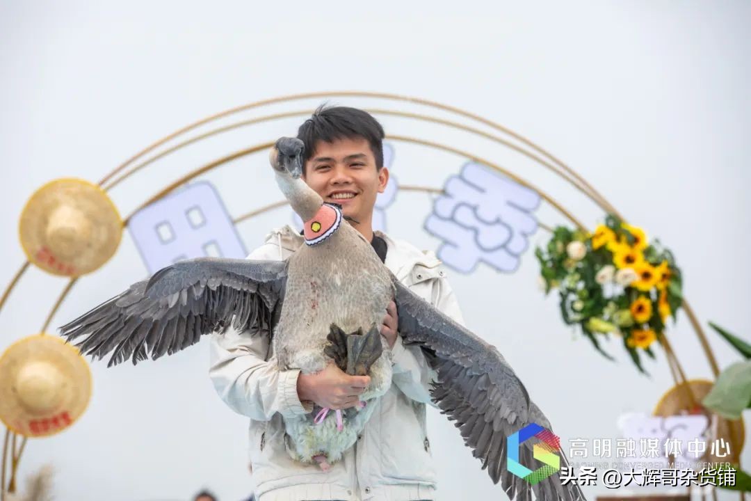 年入12.5亿！海鹏公司摘牌高明明城58亩工业用地主打三洲黑鹅！