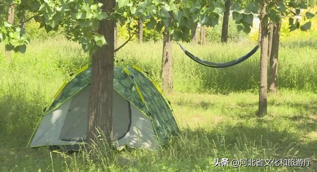 井陉清凉山滑雪场,清凉山滑雪场冰雪嘉年华