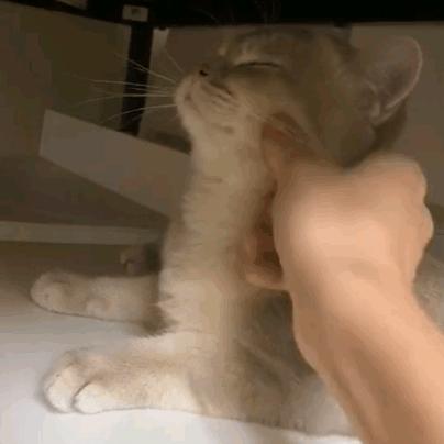 不想和我玩游戏你就直说表情包,跟你聊天还不如跟客服聊天表情包