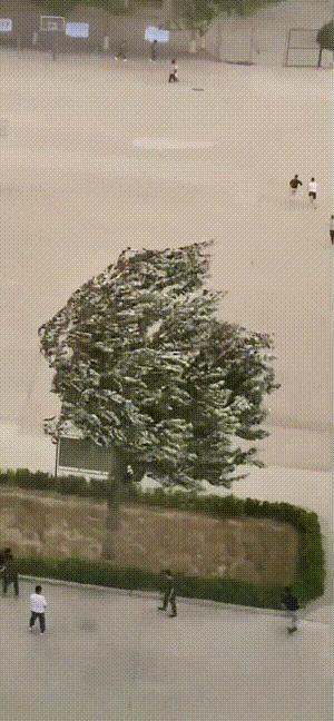 垃圾桶搞笑视频gif,搞笑gif段子塑料袋成精了