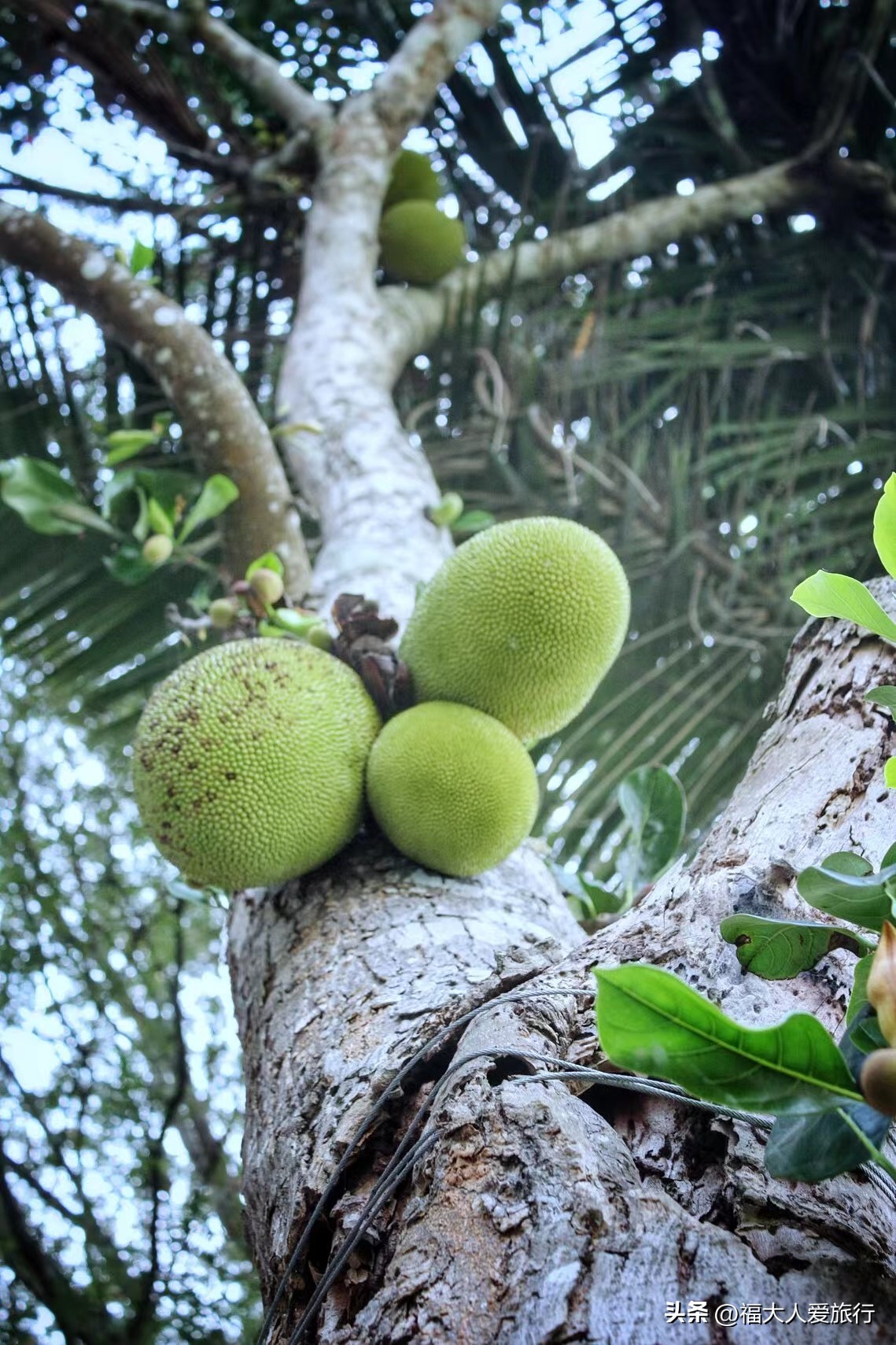 1000人民币在老挝什么水平,1000元在老挝的物价