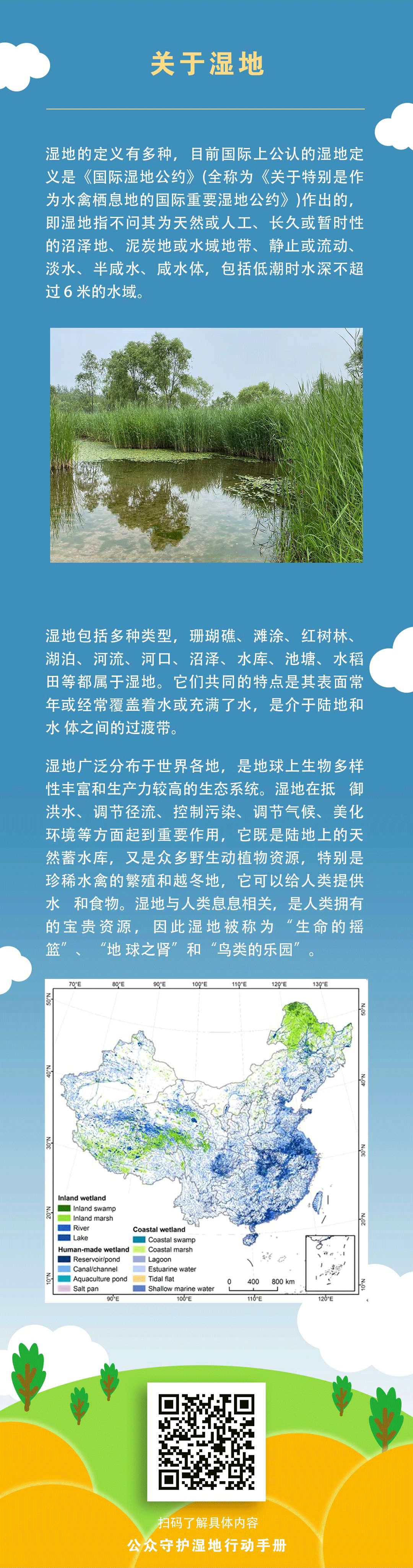 海洋生物蛞蝓品种大全,湿地蜗牛