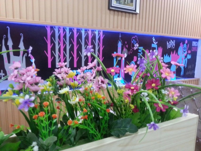 黑咖骑士,黑咖骑士加盟费明细