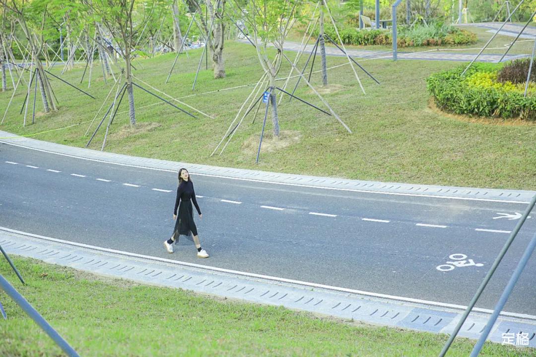 雨林打卡网红地滑梯,深圳哪里有超大型滑梯