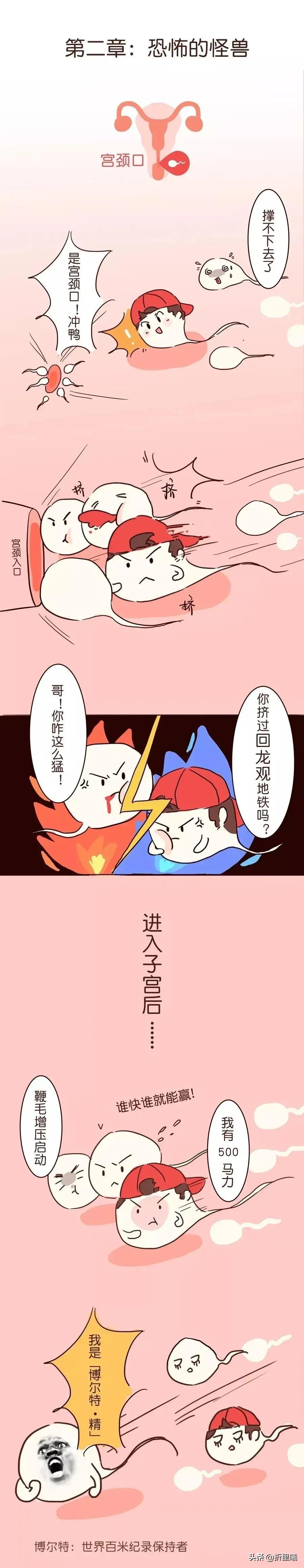 精子进入人体48小时变化,精子在人体24个小时都经历了什么