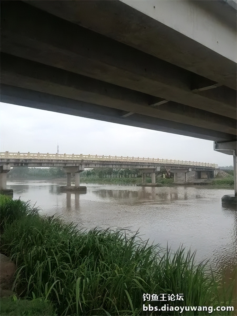 崇明北横引河水深,北横引河能钓鱼吗