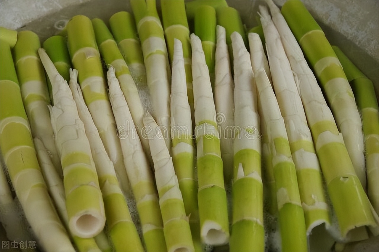 写竹子品质的诗句古诗大全,十首最惊艳的竹子古诗