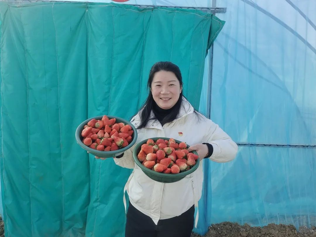 美丽邹庄“乐”翻了!