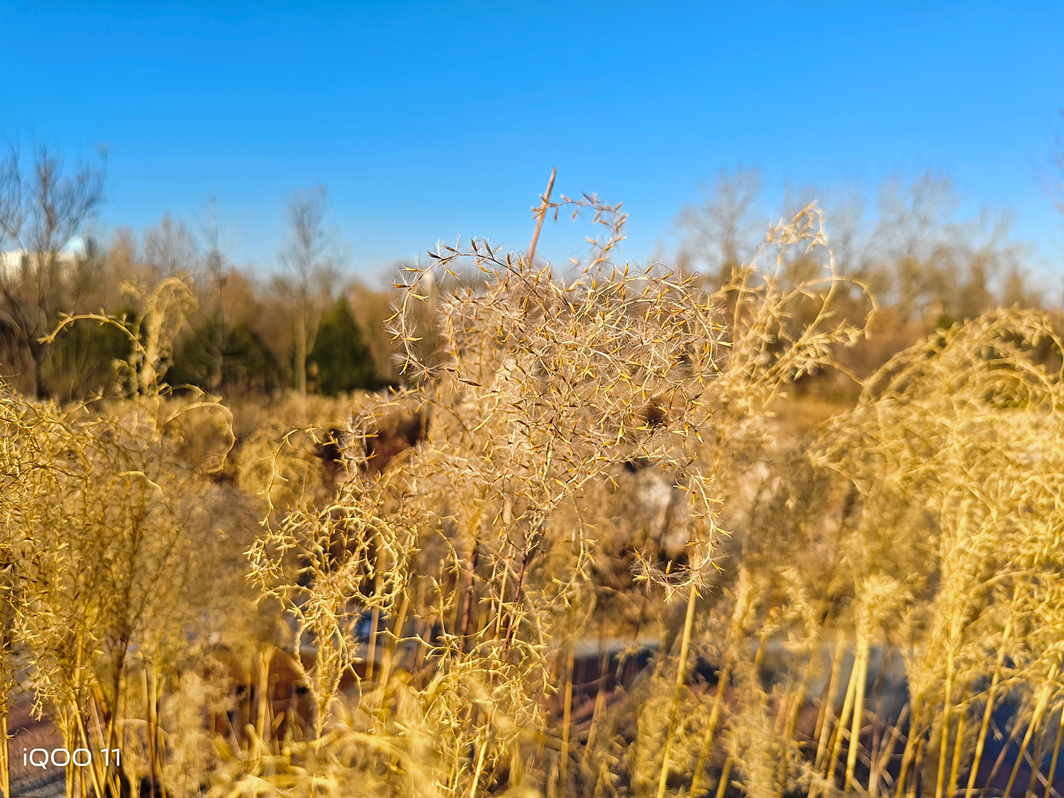 iqoo11评测玩机报告,iQOO11测评游戏体验