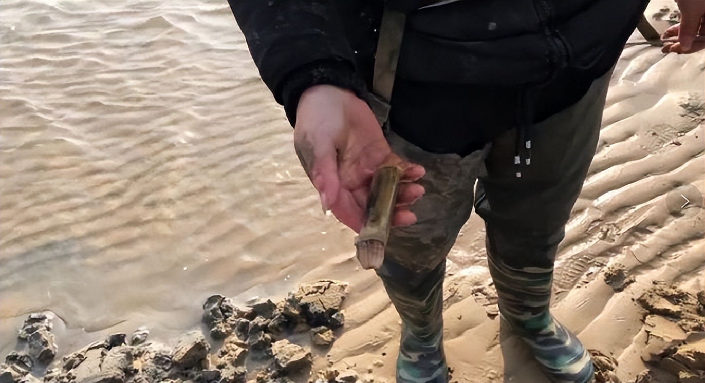 青岛老味道栈桥印象,青岛老胶南