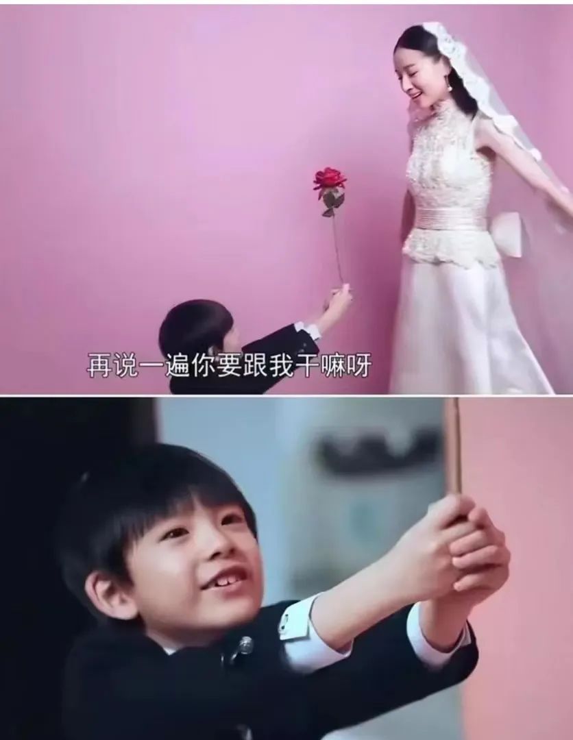 43岁董洁直播,43岁董洁直播带货评论区大翻车