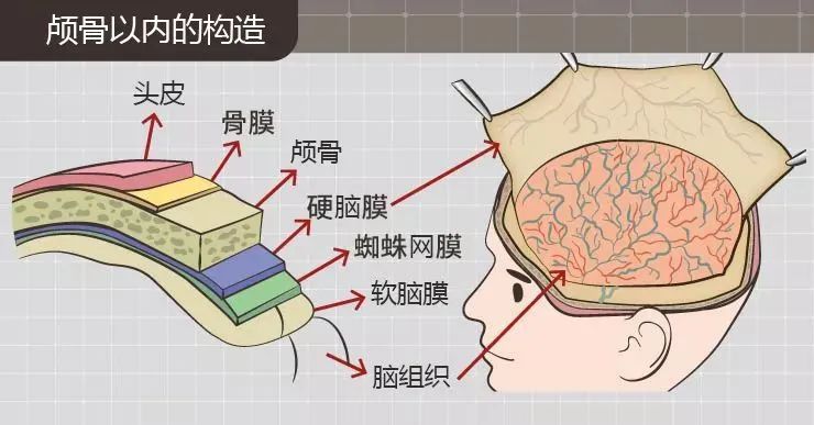 头部外伤的护理措施,头部外伤急救措施不正确