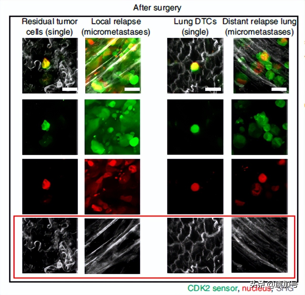 新的突破是什么,新的突破